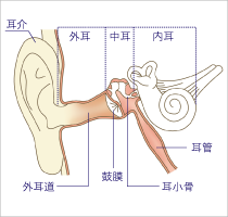 耳の病気 いいだ耳鼻咽喉科