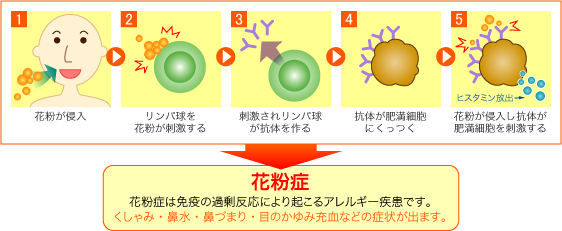 鼻の病気 いいだ耳鼻咽喉科